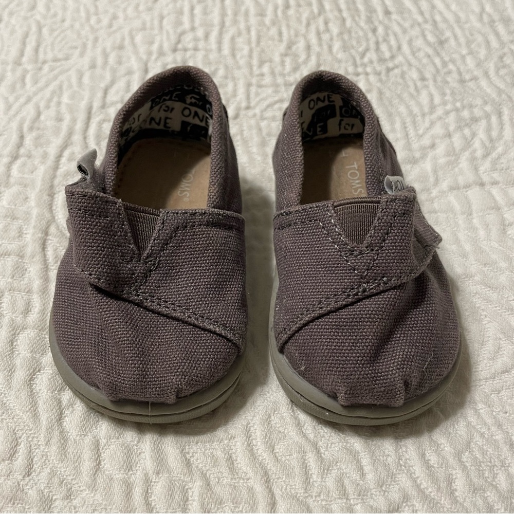 TOMS Tiny Alpargata Canvas Toddler Shoe